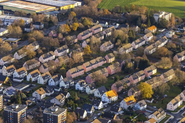 Aerial view, residential area Reichenbacher Weg, terraced houses with pink facade, Soest, Soester Börde, North Rhine-Westphalia, Germany, DE, Europe, property tax, autumn colours, real estate, Lippstädter Straße, aerial view, aerial photography, aerial photography, apartment buildings, terraced houses, Schlesische Straße, overview, bird's eye view, residential complex, living and living, residential area, residential buildings, quality of living, residential quarter, housing estate, birds-eyes view, overview, rental flat, apartment block, rent