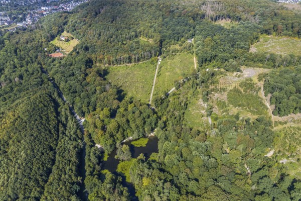 Aerial view, witches pond, cleared forest areas, Menden, Sauerland, Märkischer Kreis, North Rhine-Westphalia, Germany, DE, Europe, aerial view, aerial photography, aerial photography, pond, overview, bird's-eye view, forest area, birds-eyes view, overview