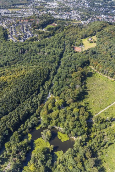 Aerial view, witches pond, cleared forest areas, Menden, Sauerland, Märkischer Kreis, North Rhine-Westphalia, Germany, DE, Europe, aerial view, aerial photography, aerial photography, pond, overview, bird's-eye view, forest area, birds-eyes view, overview