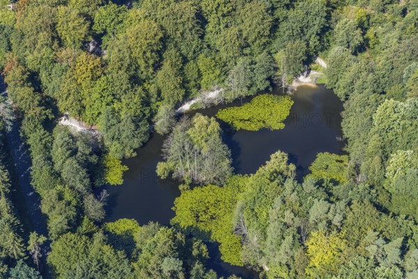 Aerial view, witches pond, cleared forest areas, Menden, Sauerland, Märkischer Kreis, North Rhine-Westphalia, Germany, DE, Europe, aerial view, aerial photography, aerial photography, pond, overview, bird's-eye view, forest area, birds-eyes view, overview