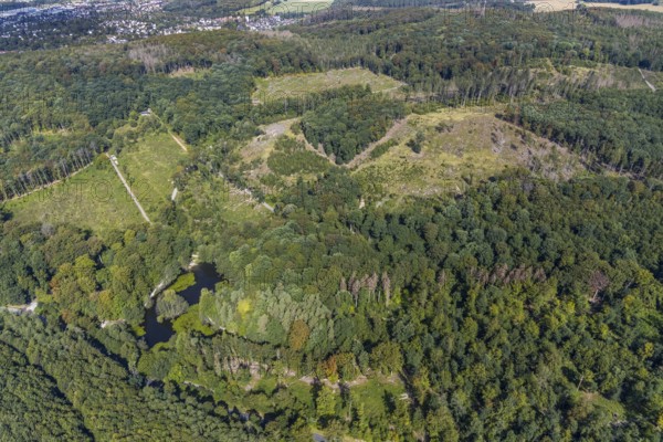 Aerial view, witches pond, cleared forest areas, Menden, Sauerland, Märkischer Kreis, North Rhine-Westphalia, Germany, DE, Europe, aerial view, aerial photography, aerial photography, pond, overview, bird's-eye view, forest area, birds-eyes view, overview