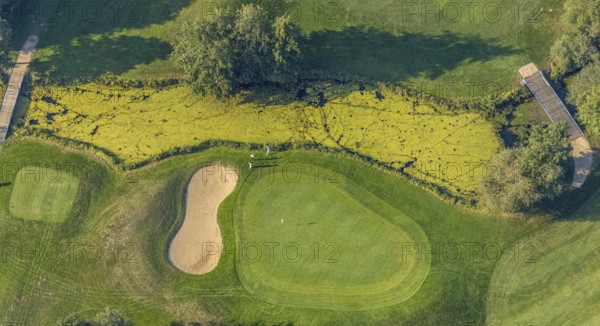 Aerial view, golf course, GolfClub Lippstadt, Lippstadt, Kreis Soest, North Rhine-Westphalia, Germany, DE, Europe, shapes and colours, golf, golf course, golf club, Kreis-Soest-Buch, KreisSoestBuch, aerial photograph, aerial photography, aerial photography, sports, overview, bird's-eye view, forest area, Wiesenhausweg, birds-eyes view, overview