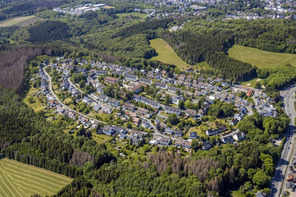 Aerial view, district Bierbaum in forest location, primary schools Bierbaum, Lüdenscheid, Märkischer Kreis, Sauerland, North Rhine-Westphalia, Germany, DE, Europe, property tax, real estate, aerial view, aerial photography, aerial photography, overview, bird's-eye view, forest area, residential area, living and living, residential area, residential buildings, residential quality, housing estate, birds-eyes view, overview