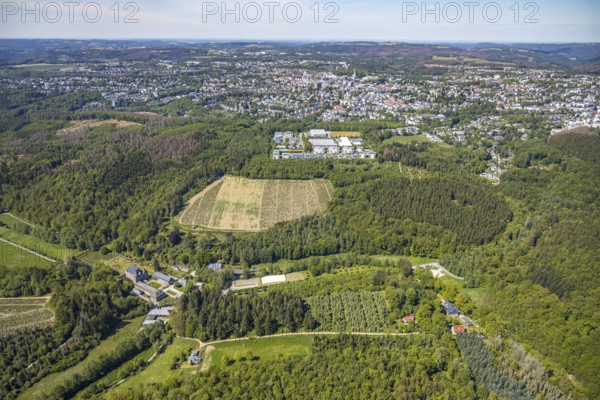 Aerial view, Neuenhof Castle, castle garden, Elspetal, Lüdenscheid, Märkischer Kreis, Sauerland, North Rhine-Westphalia, Germany, architectural monument, castle courtyard, DE, Europe, manor house, manor building, courtyard complex, hilly landscape, aerial photograph, aerial photography, aerial photography, Neuenhofer Straße, castle, castle complex, castle park, overview, bird's-eye view, wooded area, moated castle, moated castle, bird's-eye view, overview
