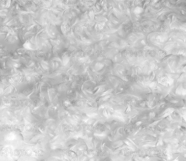 Full frame background made with lots of down feathers