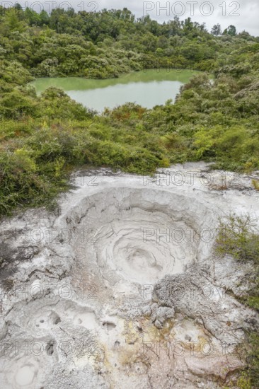 Scenery around the Geothermal Valley Te Puia in New Zealand