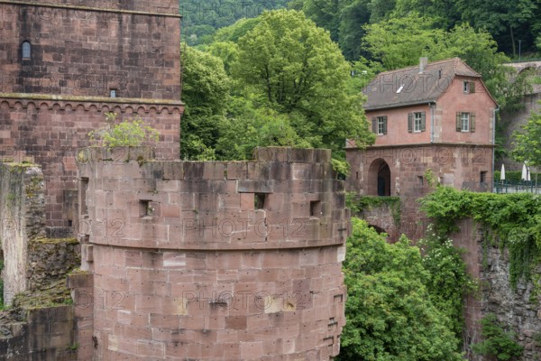 Architectural detail of the Heidelberg castle in southern Germany