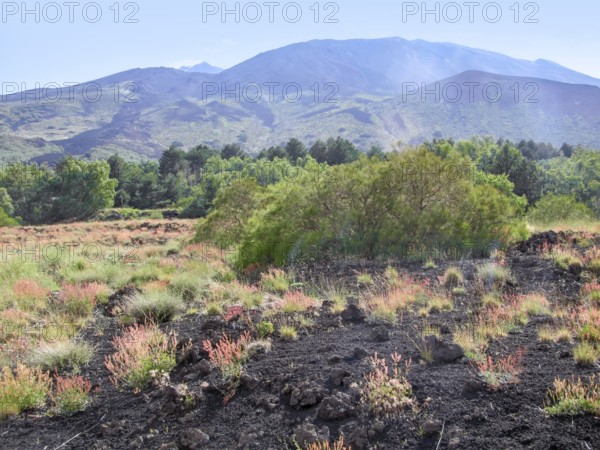 Sunny illuminated natural scenery around Mount Etna in Sicily