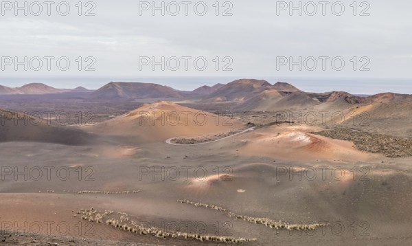 Impression at the Timanfaya National Park in Lanzarote, part of the Canary Islands in Spain