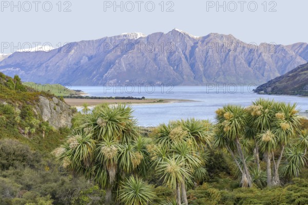 Idyllic scenery around Lake Hawea in New Zealand