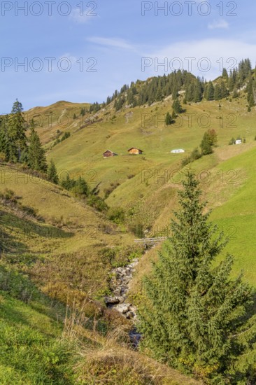 Idyllic scenery around Warth, a municipality in the district of Bregenz in the Austrian state of Vorarlberg