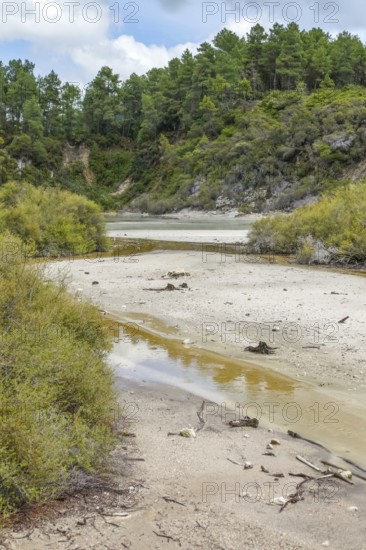 Geothermal area named Waiotapu in New Zealand