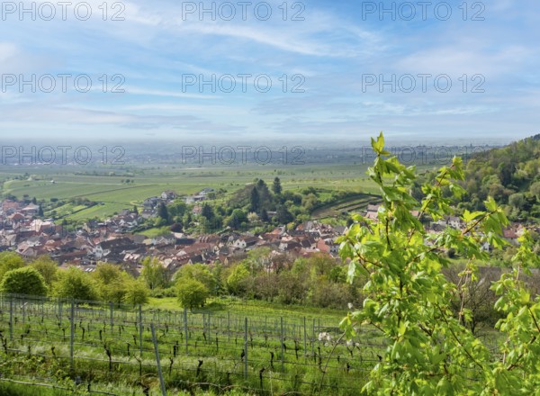 Scenery around Sankt Martin, a municipality in the Southern Wine Route area in Rhineland-Palatinate in Germany
