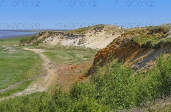 Morsum Kliff at Sylt, part of the North Frisian Islands in Germany