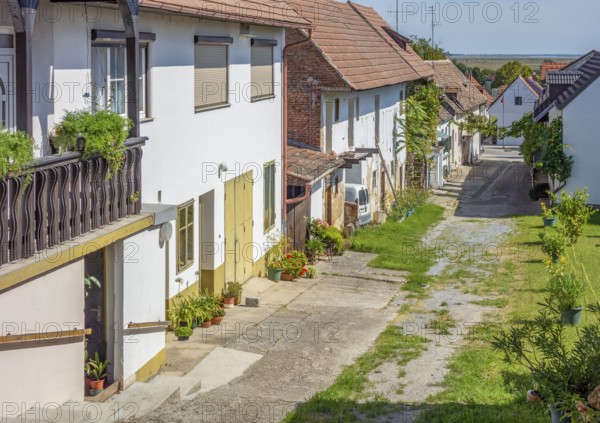 Idyllic town named M?rbisch am See, located at the Lake Neusiedl in the austrian state of Burgenland