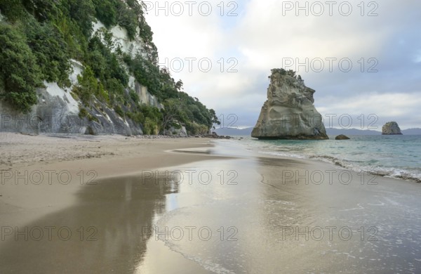 Te Hoho Rock at a coastal area named Cathedral Cove in the southern part of Mercury Bay on the Coromandel Peninsula at the North Island of New Zealand