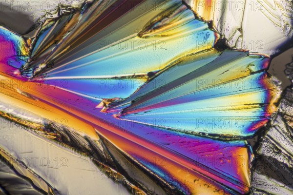 Colorful microscopic shot of sugar micro crystals in polarized light
