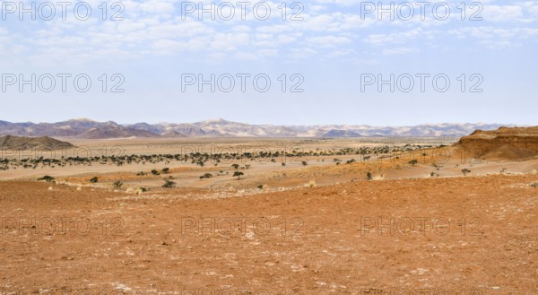 Sandy savanna scenery seen in Namibia
