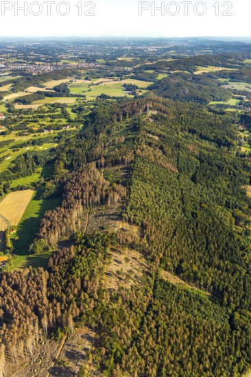 Aerial photograph, Teutoburg Forest, Gartnischberg forest area, forest dieback, Halle, East Westphalia-Lippe, OWL, North Rhine-Westphalia, Germany, DE, Europe, distant view, hilly landscape, aerial photograph, aerial photography, aerial photography, nature reserve, OWL book, OWL book, East Westphalia book, overview, bird's-eye view, forest, forest area, forest damage, birds-eyes view, overview