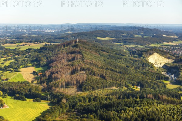 Aerial photograph, Teutoburg Forest, Gartnischberg forest area, forest dieback, Halle, East Westphalia-Lippe, OWL, North Rhine-Westphalia, Germany, DE, Europe, distant view, hilly landscape, aerial photograph, aerial photography, aerial photography, nature reserve, OWL book, OWL book, East Westphalia book, overview, bird's-eye view, forest, forest area, forest damage, birds-eyes view, overview