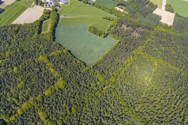 Aerial view, forest area Holtwick, mixed forest, Haltern am See, Münsterland, Ruhr area, North Rhine-Westphalia, Germany, DE, Europe, shapes and colours, aerial view, aerial photography, aerial photography, overview, bird's-eye view, birds-eyes view, green lung, overview, forest destruction, tree loss