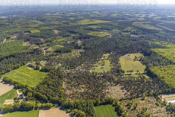 Aerial photo, nature wildlife park Granat, Haltern am See, Münsterland, Ruhr area, North Rhine-Westphalia, Germany, DE, Europe, aerial photo, aerial photography, aerial photography, park, overview, bird's-eye view, birds-eyes view, green lung, overview, forest destruction, tree loss, tree felling