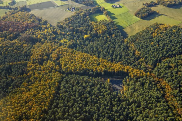 Aerial view, forest area, planned wind turbines, Bergbossendorf, Haltern am See, Ruhr area, North Rhine-Westphalia, Germany