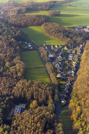 Aerial view of a forest settlement Holtwicker Straße in the district Holtwick in Haltern am See in the Ruhr area in North Rhine-Westphalia, Germany, DE, Europe, property tax, Haltern am See, real estate, aerial view, aerial photograph, aerial photography, aerial photography, North Rhine-Westphalia, Ruhr area, overview, bird's-eye view, forest area, residential area, housing and living, residential area, residential buildings, quality of living, residential neighbourhood, housing estate, birds-eyes view, overview