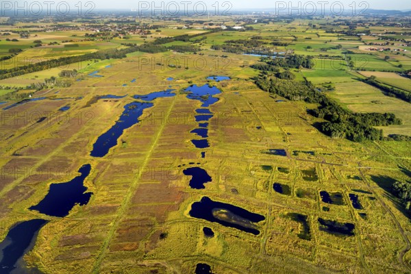 Aerial photo, Großes Torfmoor, Gehlenbeck, Hille, Lübbecke, Ostwestfalen-Lippe, OWL, North Rhine-Westphalia, Germany, DE, Europe, Hiller Moor, raised bog, aerial photo, aerial photography, aerial photography, moor, nature reserve Großes Torfmoor, Nettelstedter Moor, OWL book, OWL book, Ostwestfalen book, Torfmoor Lübbecke, overview, bird's eye view, birds-eyes view, overview
