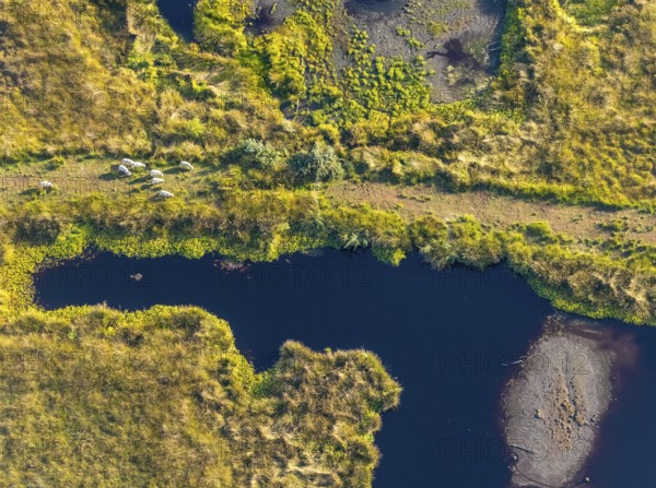Aerial photo, Großes Torfmoor, Gehlenbeck, Hille, Lübbecke, Ostwestfalen-Lippe, OWL, North Rhine-Westphalia, Germany, DE, Europe, Hiller Moor, raised bog, aerial photo, aerial photography, aerial photography, moor, nature reserve Großes Torfmoor, Nettelstedter Moor, OWL book, OWL book, Ostwestfalen book, Torfmoor Lübbecke, overview, bird's eye view, birds-eyes view, overview