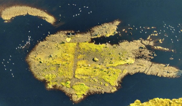 Aerial photo, Großes Torfmoor, Gehlenbeck, water areas with water birds, Hille, Lübbecke, Ostwestfalen-Lippe, OWL, North Rhine-Westphalia, Germany, DE, Europe, Hiller Moor, raised bog, aerial photograph, aerial photography, aerial photography, moor, nature reserve Großes Torfmoor, Nettelstedter Moor, OWL book, OWL book, Ostwestfalen book, Torfmoor Lübbecke, overview, bird's-eye view, birds-eyes view, overview