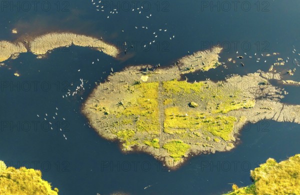 Aerial photo, Großes Torfmoor, Gehlenbeck, water areas with water birds, Hille, Lübbecke, Ostwestfalen-Lippe, OWL, North Rhine-Westphalia, Germany, DE, Europe, Hiller Moor, raised bog, aerial photograph, aerial photography, aerial photography, moor, nature reserve Großes Torfmoor, Nettelstedter Moor, OWL book, OWL book, Ostwestfalen book, Torfmoor Lübbecke, overview, bird's-eye view, birds-eyes view, overview