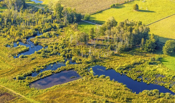 Aerial photo, Großes Torfmoor, Gehlenbeck, Hille, Lübbecke, Ostwestfalen-Lippe, OWL, North Rhine-Westphalia, Germany, DE, Europe, Hiller Moor, raised bog, aerial photo, aerial photography, aerial photography, moor, nature reserve Großes Torfmoor, Nettelstedter Moor, OWL book, OWL book, Ostwestfalen book, Torfmoor Lübbecke, overview, bird's eye view, birds-eyes view, overview