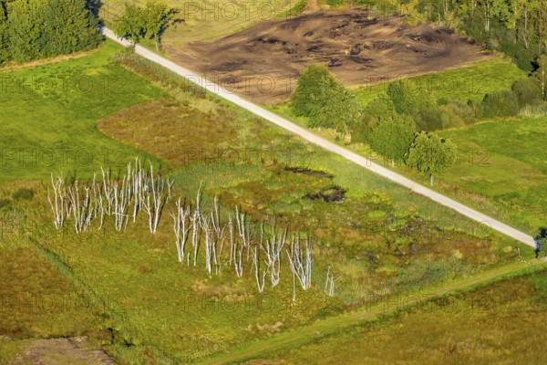 Aerial photograph, Großes Torfmoor, Gehlenbeck, dead wood, Hille, Lübbecke, Ostwestfalen-Lippe, OWL, North Rhine-Westphalia, Germany, DE, Europe, Hiller Moor, raised bog, aerial photograph, aerial photography, aerial photography, moor, nature reserve Großes Torfmoor, Nettelstedter Moor, OWL-Buch, OWLBuch, Ostwestfalenbuch, Torfmoor Lübbecke, overview, bird's-eye view, birds-eyes view, overview