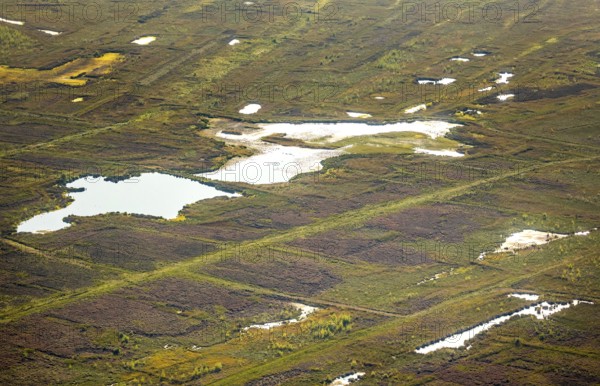 Aerial photo, Großes Torfmoor, Gehlenbeck, Hille, Lübbecke, Ostwestfalen-Lippe, OWL, North Rhine-Westphalia, Germany, DE, Europe, Hiller Moor, raised bog, aerial photo, aerial photography, aerial photography, moor, nature reserve Großes Torfmoor, Nettelstedter Moor, OWL book, OWL book, Ostwestfalen book, Torfmoor Lübbecke, overview, bird's eye view, birds-eyes view, overview