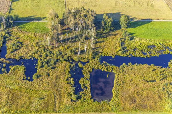 Aerial photo, Großes Torfmoor, Gehlenbeck, Hille, Lübbecke, Ostwestfalen-Lippe, OWL, North Rhine-Westphalia, Germany, DE, Europe, Hiller Moor, raised bog, aerial photo, aerial photography, aerial photography, moor, nature reserve Großes Torfmoor, Nettelstedter Moor, OWL book, OWL book, Ostwestfalen book, Torfmoor Lübbecke, overview, bird's eye view, birds-eyes view, overview