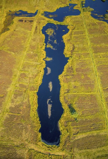 Aerial photo, Großes Torfmoor, Gehlenbeck, Hille, Lübbecke, Ostwestfalen-Lippe, OWL, North Rhine-Westphalia, Germany, DE, Europe, Hiller Moor, raised bog, aerial photo, aerial photography, aerial photography, moor, nature reserve Großes Torfmoor, Nettelstedter Moor, OWL book, OWL book, Ostwestfalen book, Torfmoor Lübbecke, overview, bird's eye view, birds-eyes view, overview