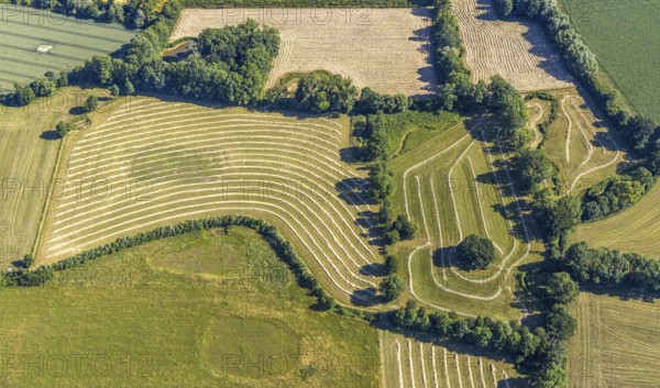 Aerial view, hay harvest, fields south of Pelkum, pattern in nature, Hamm, Ruhr area, North Rhine-Westphalia, Germany, DE, Europe, birds-eyes view, aerial photography, aerial photography, overview, bird's eye view