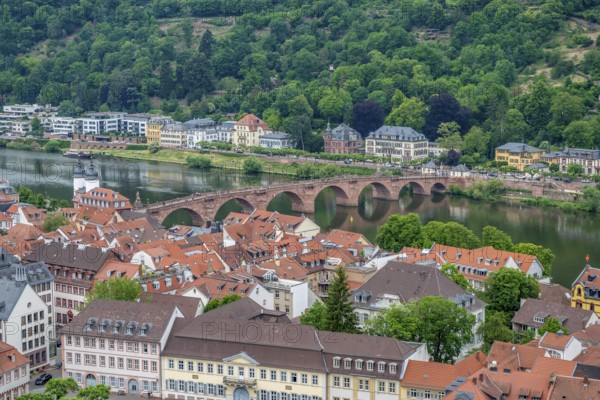 Aerial view of Heidelberg in Germany at summer time