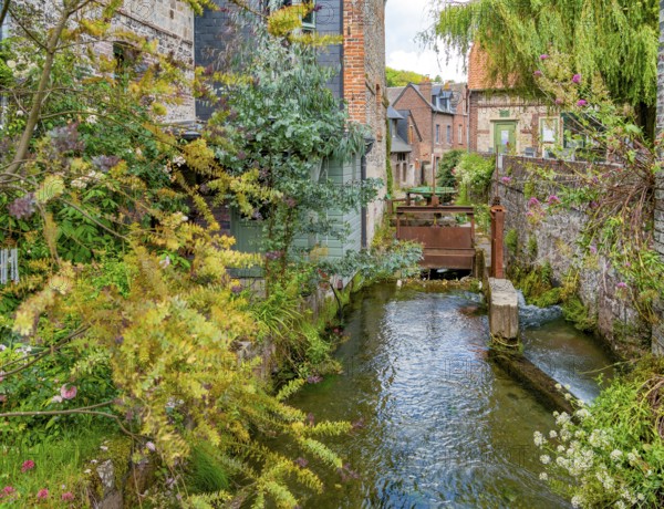 Scenery around river Veules in Veules-les-Roses, a commune in the Seine-Maritime department in the Normandy region in northern France