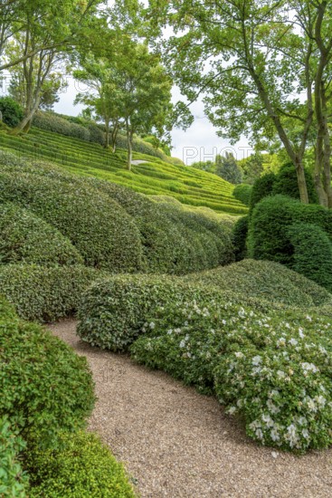 Idyllic garden scenery with green trees, bushes and hedges at summer time seen in Normandy, France