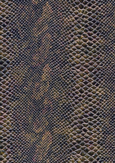 Full frame scaled abstract brown patterned reptile skin surface