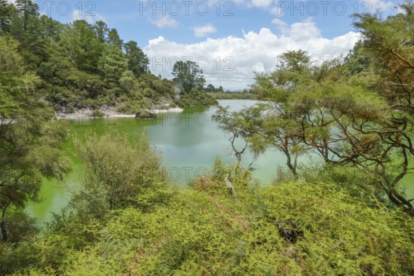 Geothermal area named Waiotapu in New Zealand