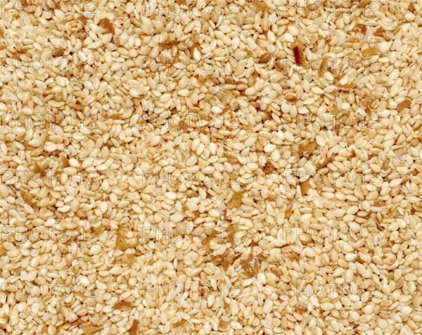 Full frame closeup of mostly sesame seeds