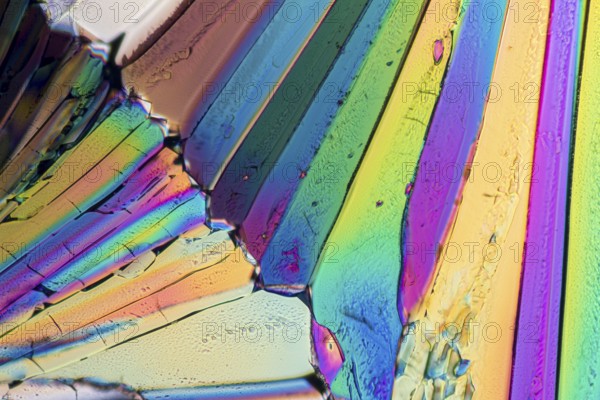 Colorful micro crystals of liqueur in polarized light