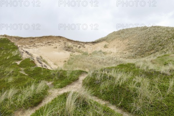 Rotes Kliff at Sylt, part of the North Frisian Islands in Germany