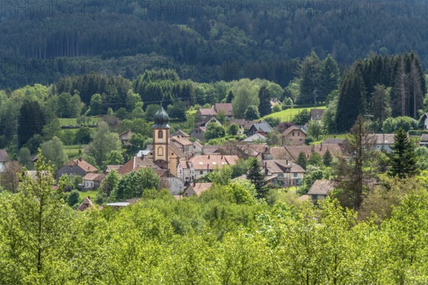 Scenery around Saulxures, a commune in the Bas-Rhin department in Grand Est in north-eastern France