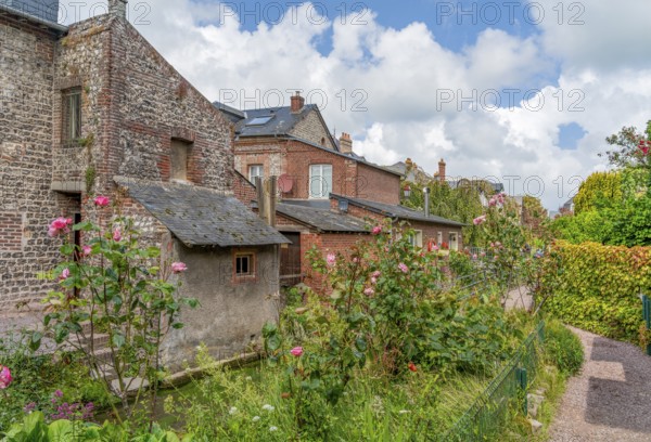 Scenery around Veules-les-Roses, a commune in the Seine-Maritime department in the Normandy region in northern France