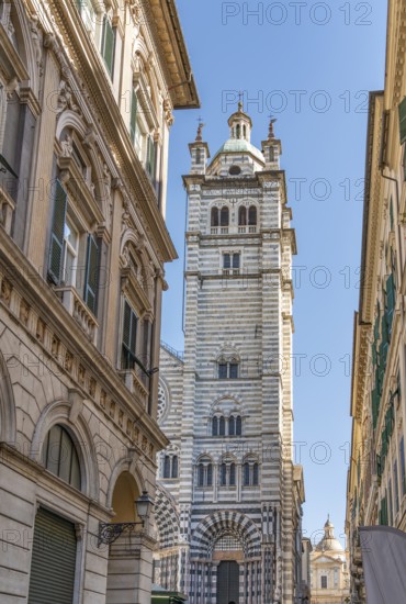 Steeple of the cathedral in Genoa, the capital of the italian region of Liguria