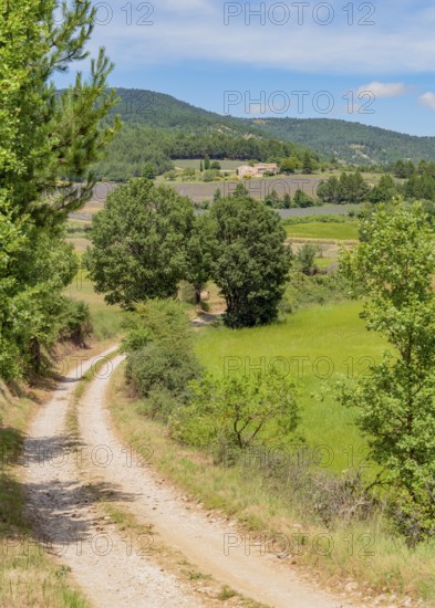 Impression around Mont Ventoux, a mountain in the Provence region of southern France